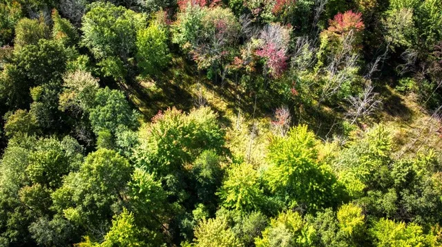 $99,000 | 10.32-acres Bighorn Drive, Arkdale, WI 54613