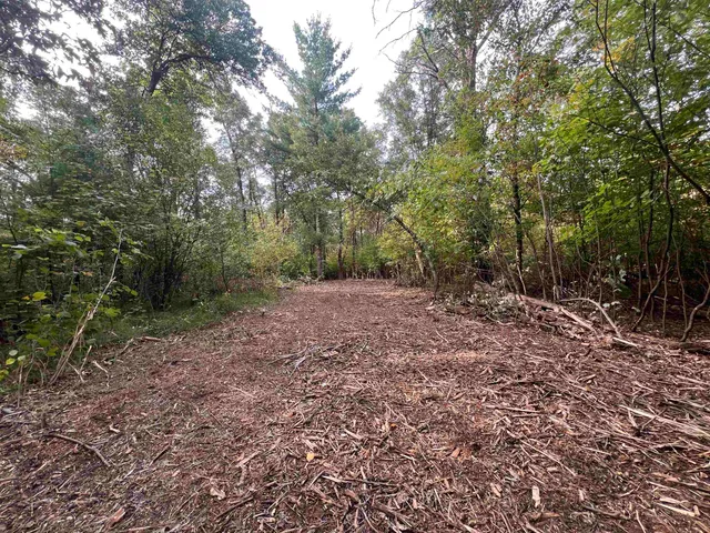 $99,000 | 10.32-acres Bighorn Drive, Arkdale, WI 54613