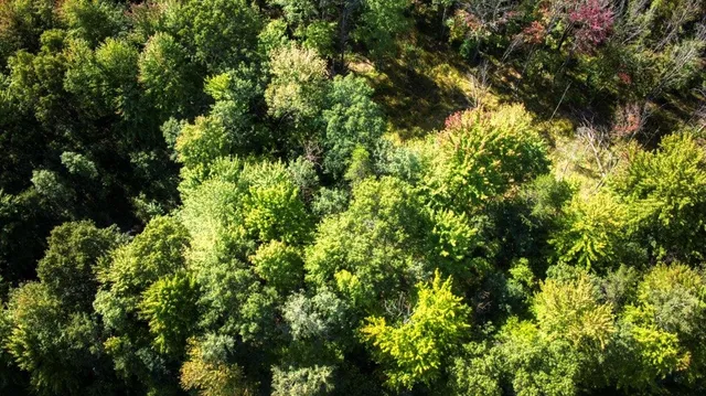 $99,000 | 10.32-acres Bighorn Drive, Arkdale, WI 54613