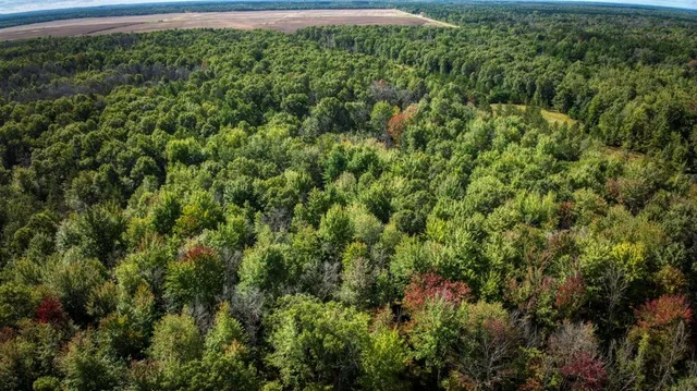 $99,000 | 10.32-acres Bighorn Drive, Arkdale, WI 54613