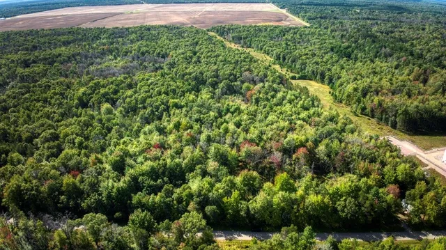 $99,000 | 10.32-acres Bighorn Drive, Arkdale, WI 54613