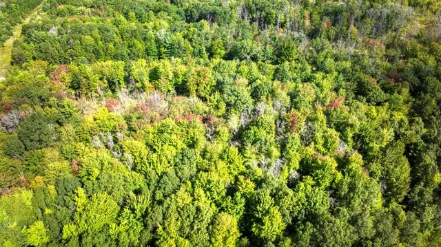 $99,000 | 10.32-acres Bighorn Drive, Arkdale, WI 54613