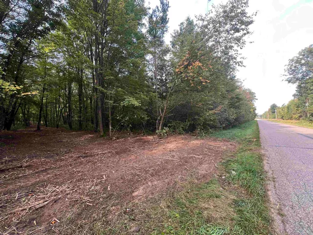 $99,000 | 10.32-acres Bighorn Drive, Arkdale, WI 54613