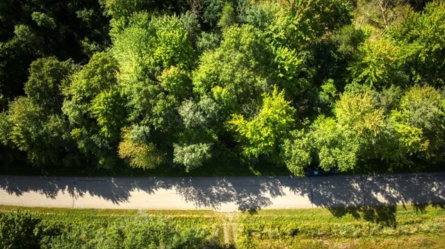 $99,000 | 10.32-acres Bighorn Drive, Arkdale, WI 54613