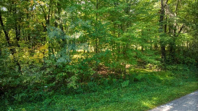 $99,000 | 10.32-acres Bighorn Drive, Arkdale, WI 54613