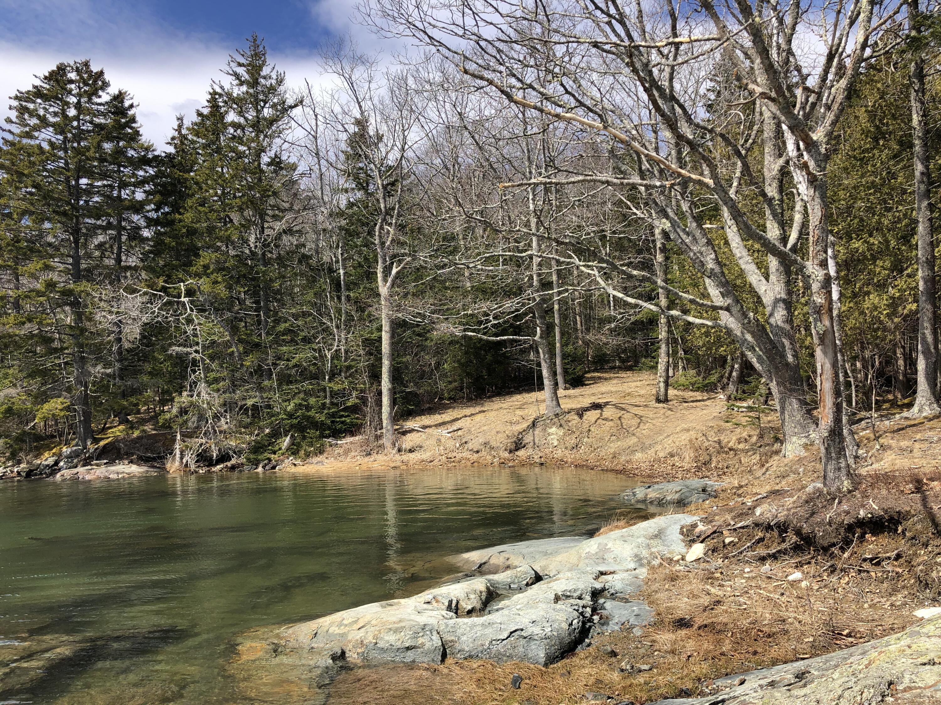 704 Castine Road Castine, ME 04421 - Photo 51 of 52 IMG_5683
