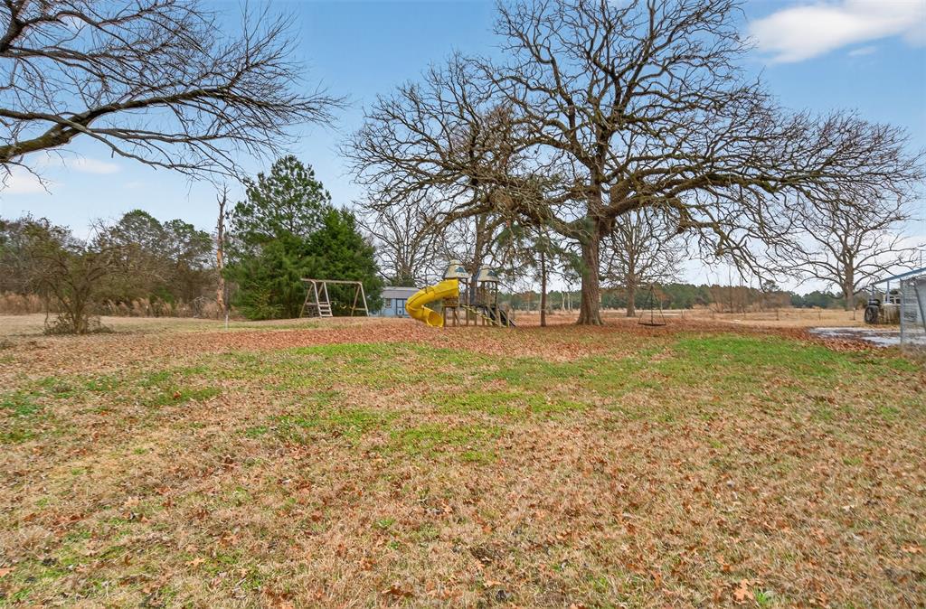 720 Haggerty Road Karnack, TX 75661 - Photo 30 of 39 a view of yard with tree in the background