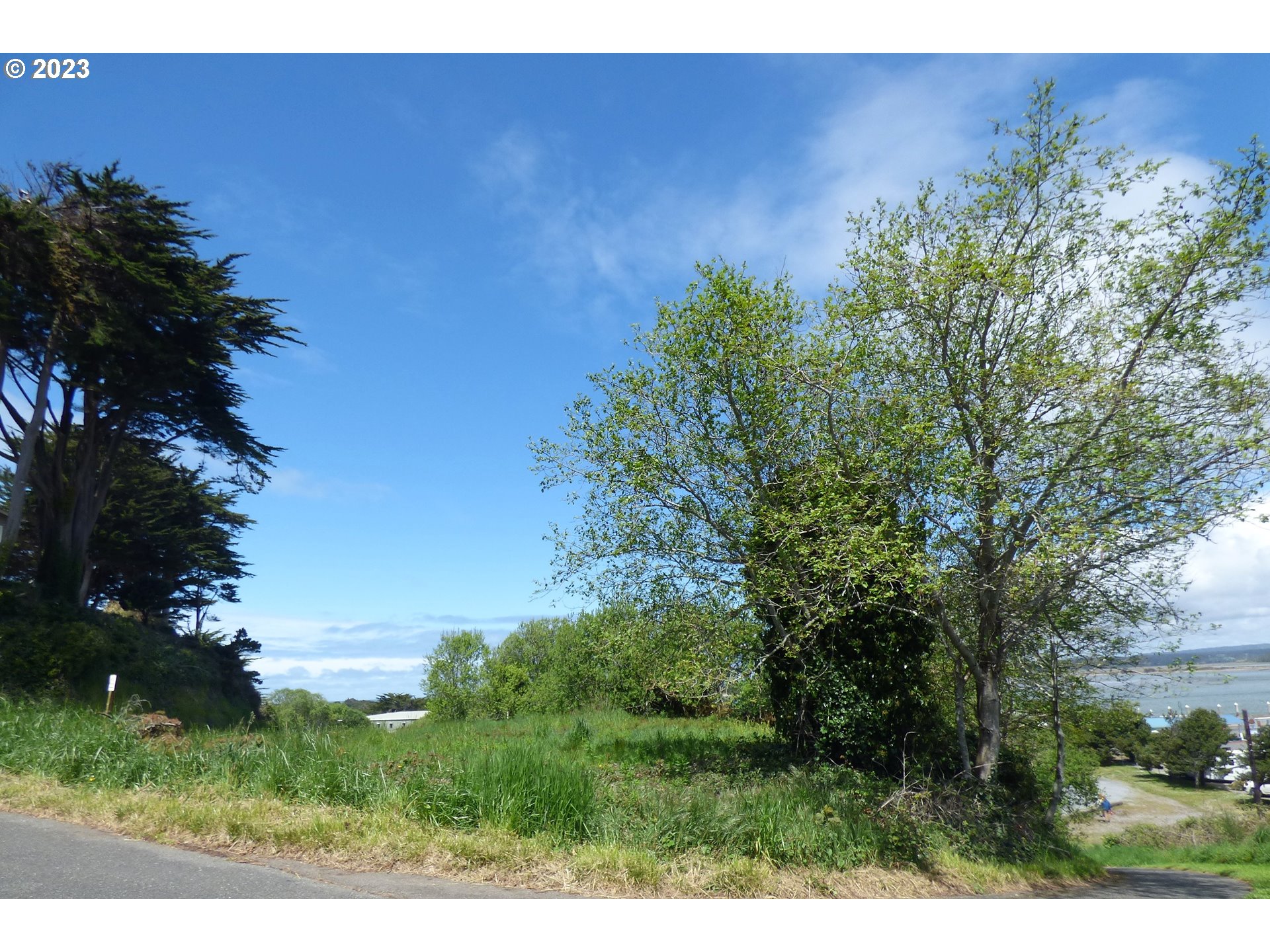 0 Oregon Avenue Bandon, OR 97411 - Photo 2 of 35