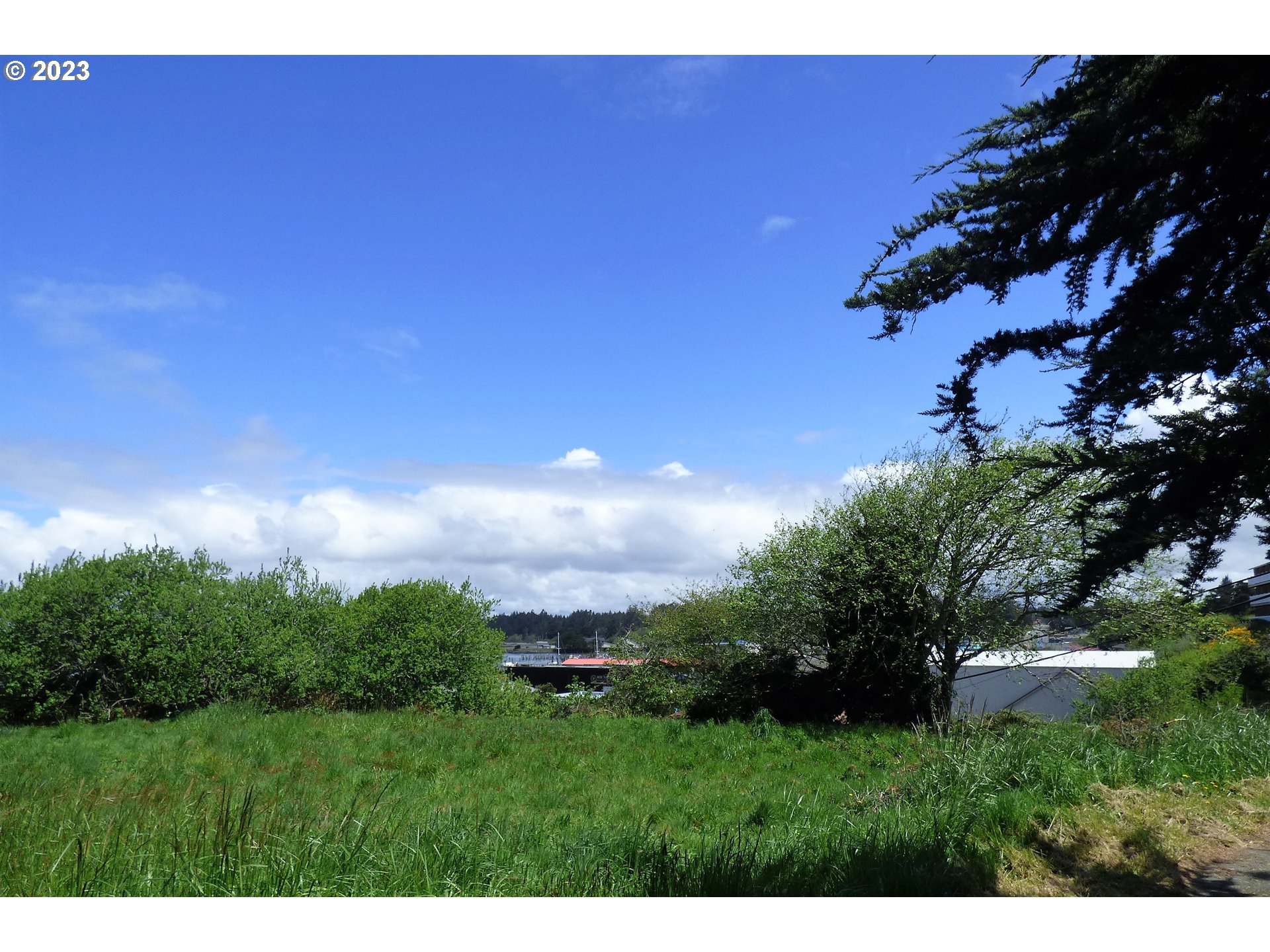 0 Oregon Avenue Bandon, OR 97411 - Photo 3 of 35