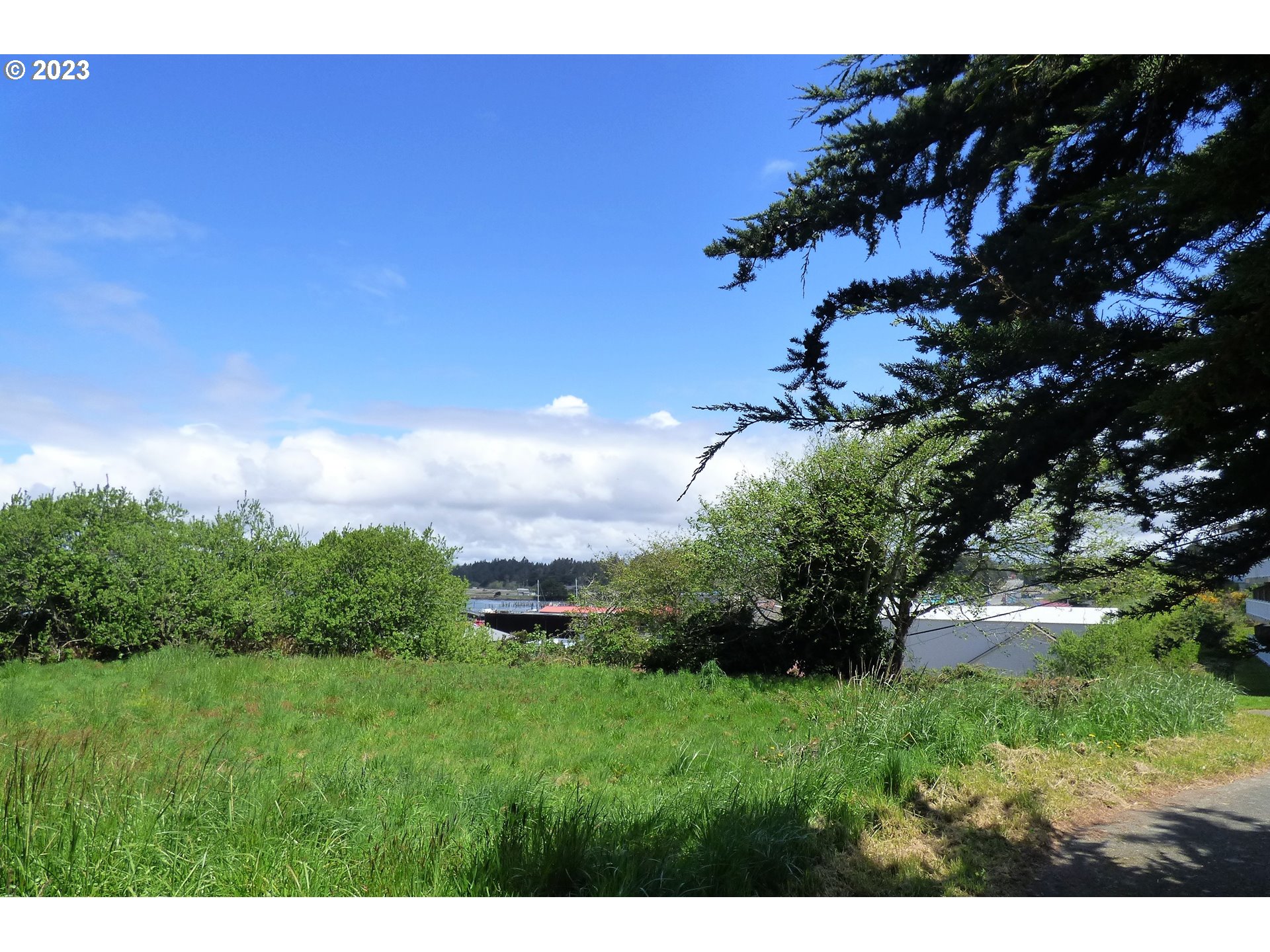 0 Oregon Avenue Bandon, OR 97411 - Photo 4 of 35