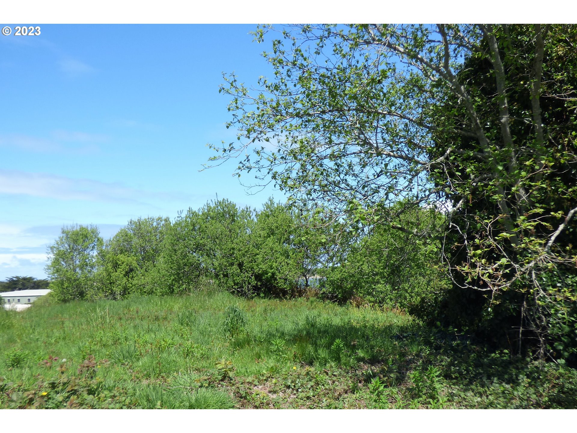 0 Oregon Avenue Bandon, OR 97411 - Photo 7 of 35