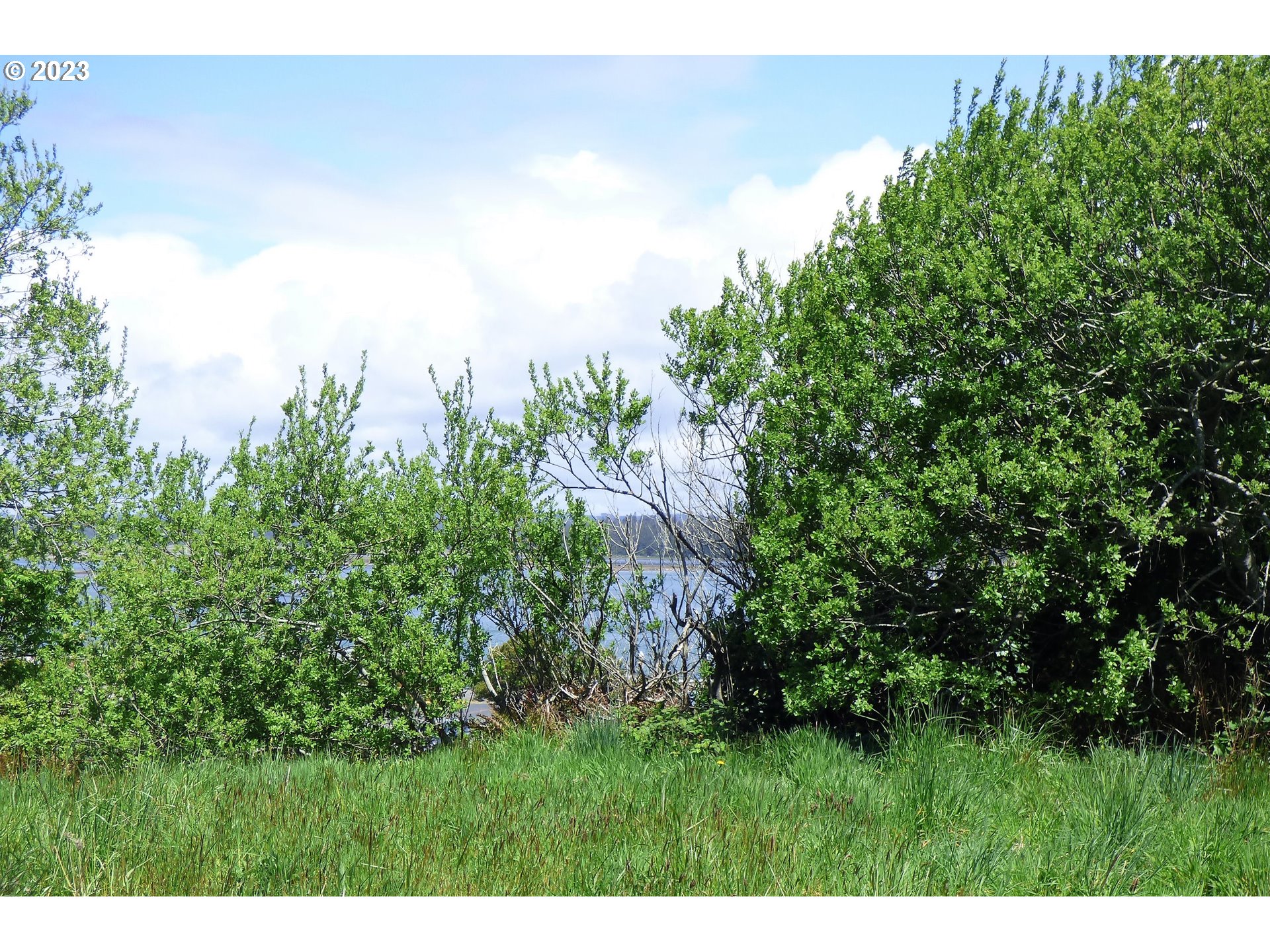 0 Oregon Avenue Bandon, OR 97411 - Photo 8 of 35