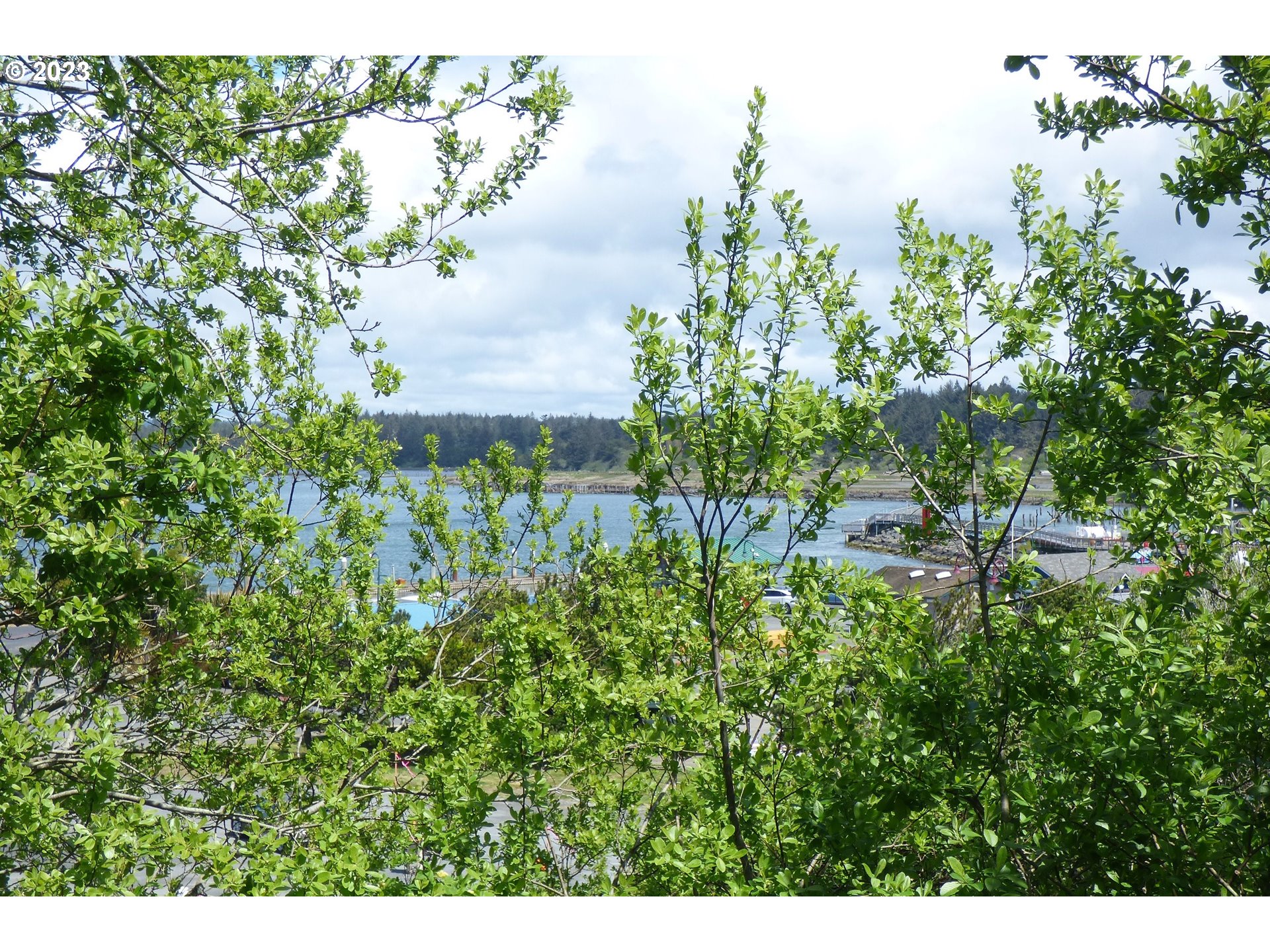 0 Oregon Avenue Bandon, OR 97411 - Photo 9 of 35