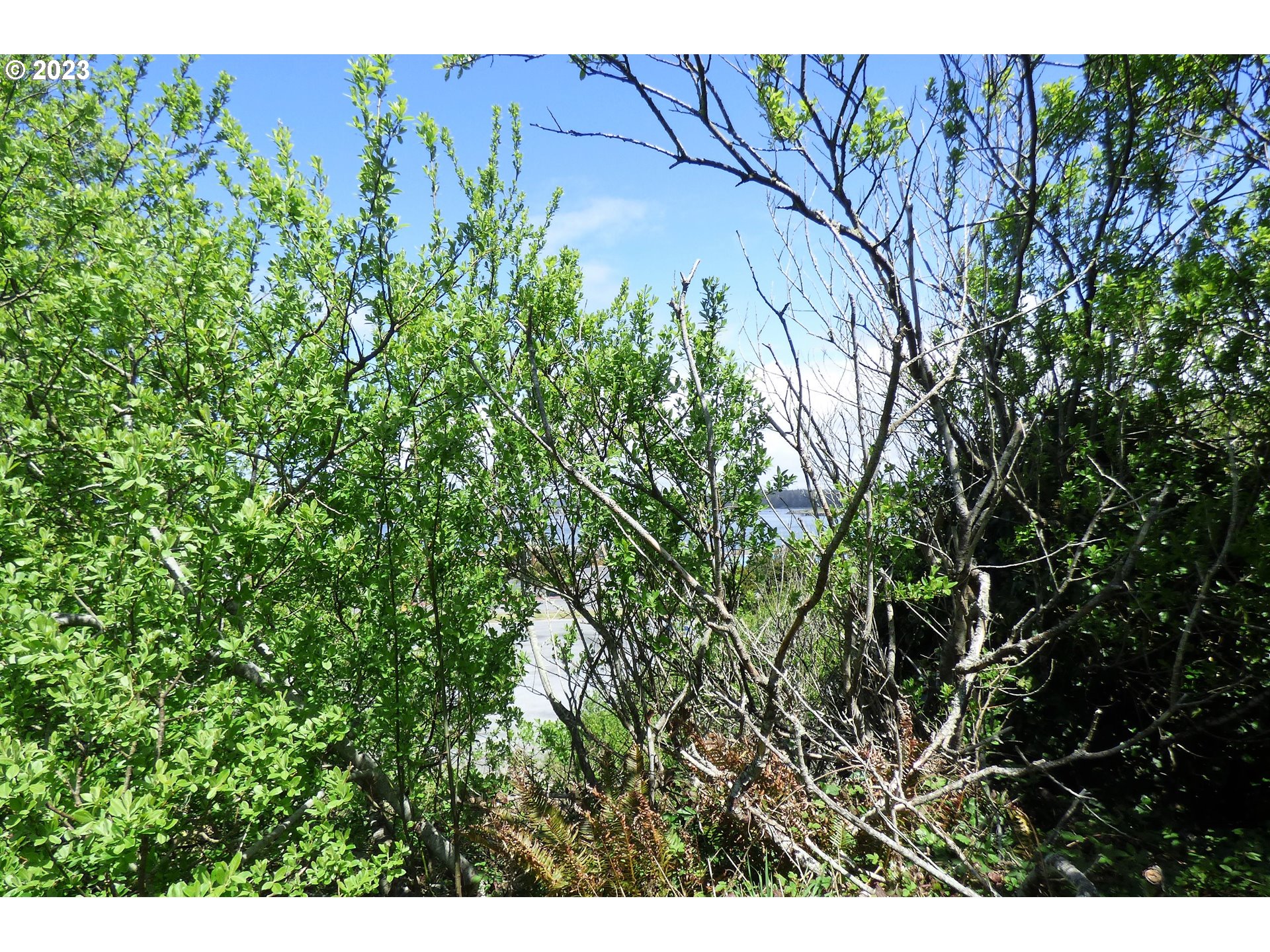 0 Oregon Avenue Bandon, OR 97411 - Photo 10 of 35