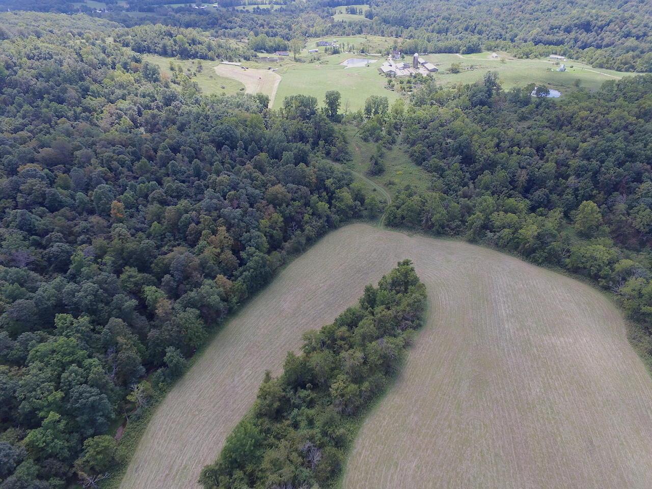 0 Mush Run Road Athens, OH 45701 - Photo 13 of 38