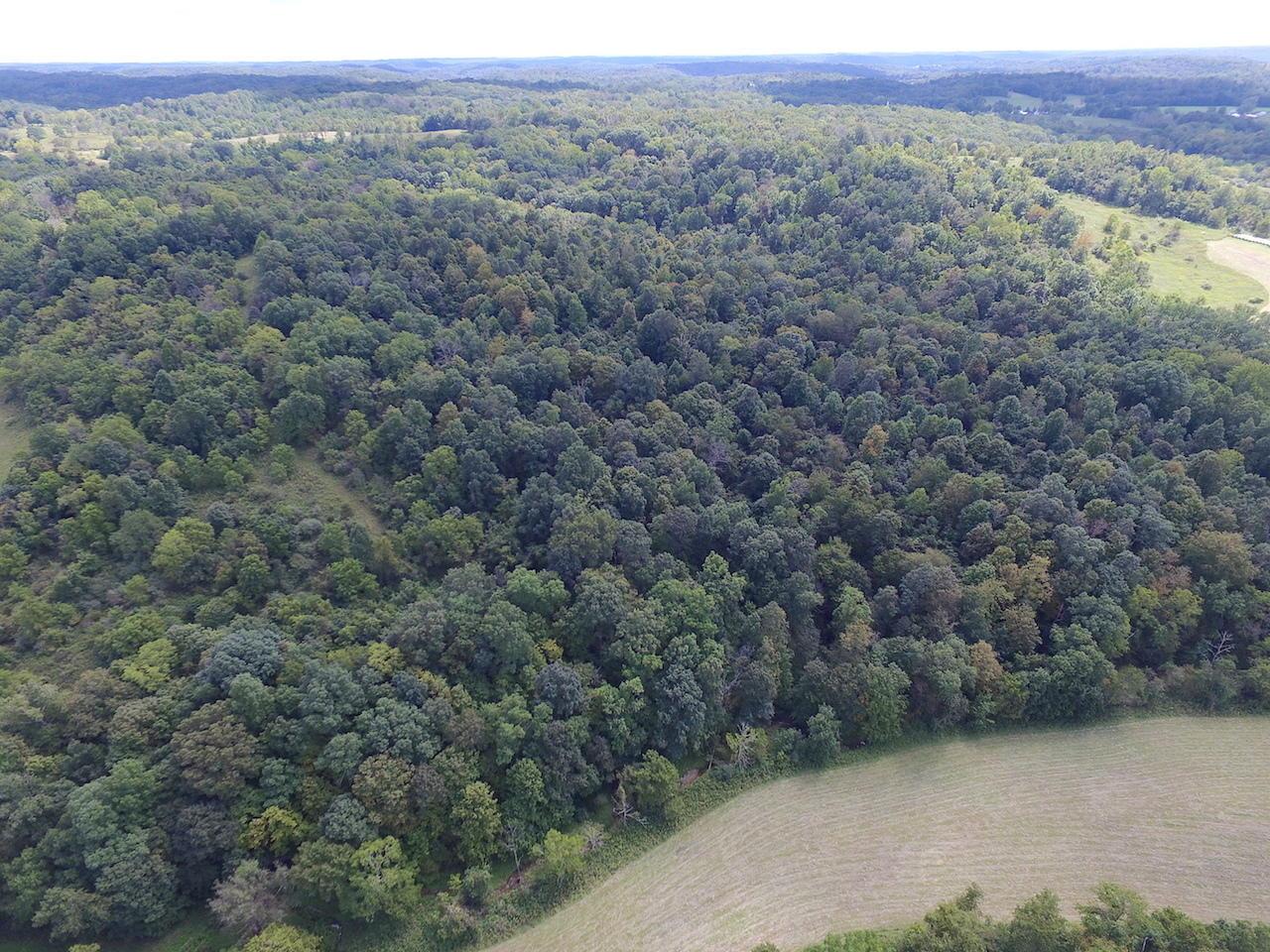 0 Mush Run Road Athens, OH 45701 - Photo 14 of 38