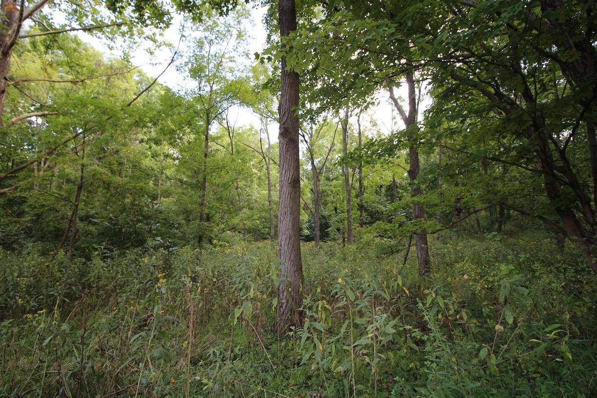0 Mush Run Road Athens, OH 45701 - Photo 20 of 38