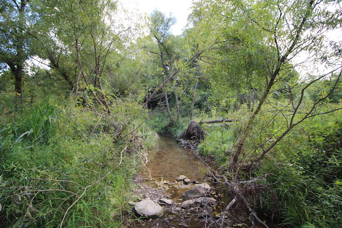 0 Mush Run Road Athens, OH 45701 - Photo 22 of 38