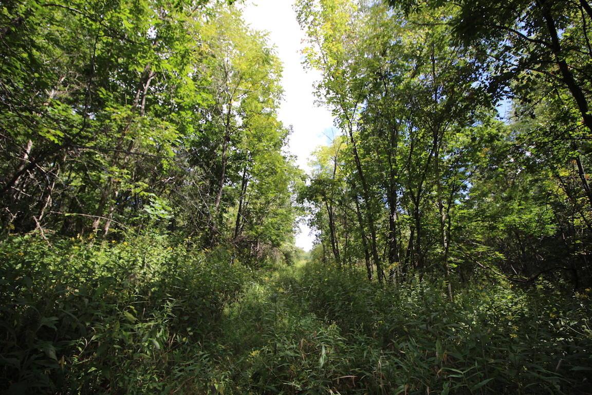 0 Mush Run Road Athens, OH 45701 - Photo 32 of 38