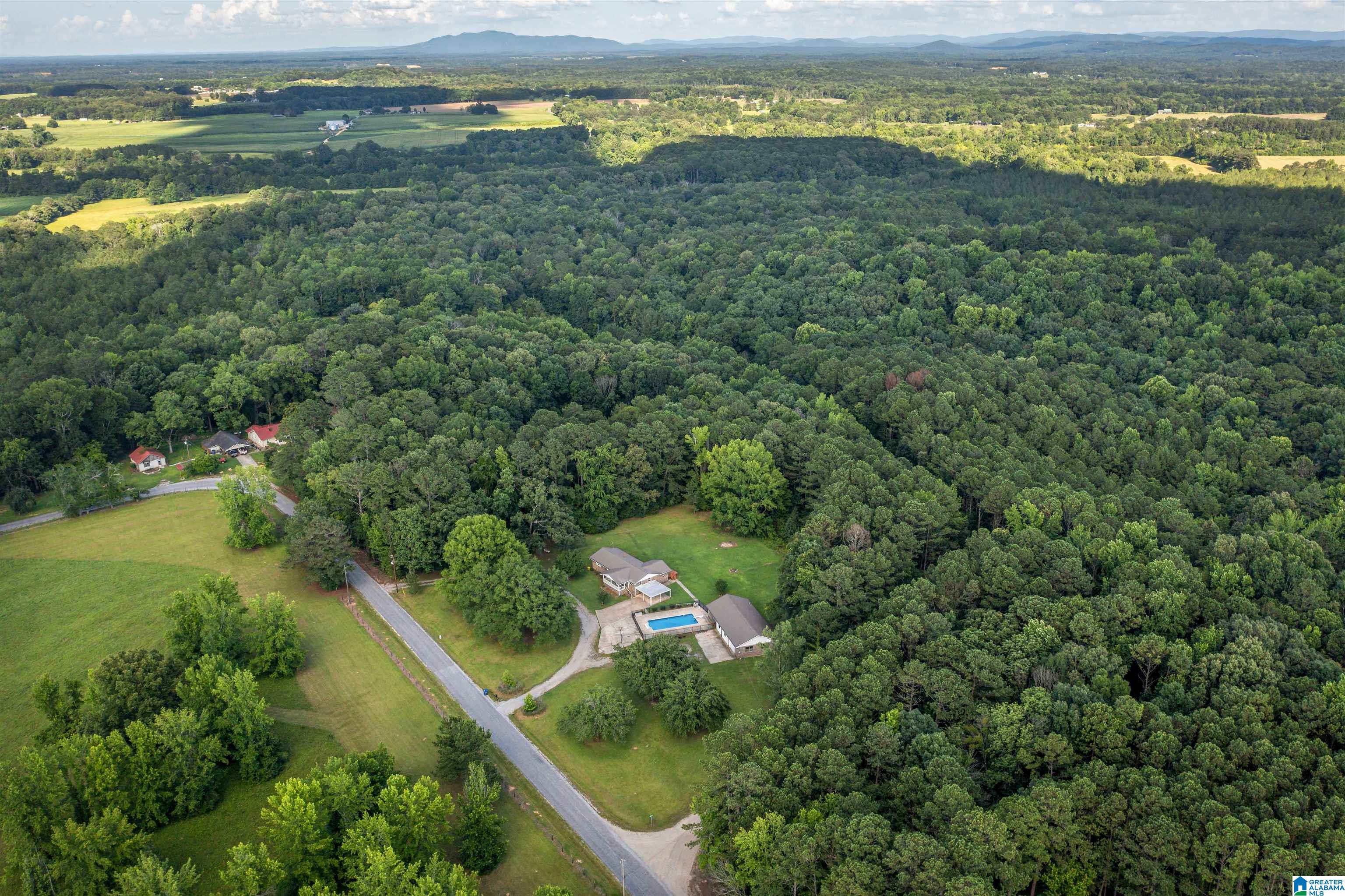880 Rolling Hills Road Gadsden, AL 35901 - Photo 4 of 51