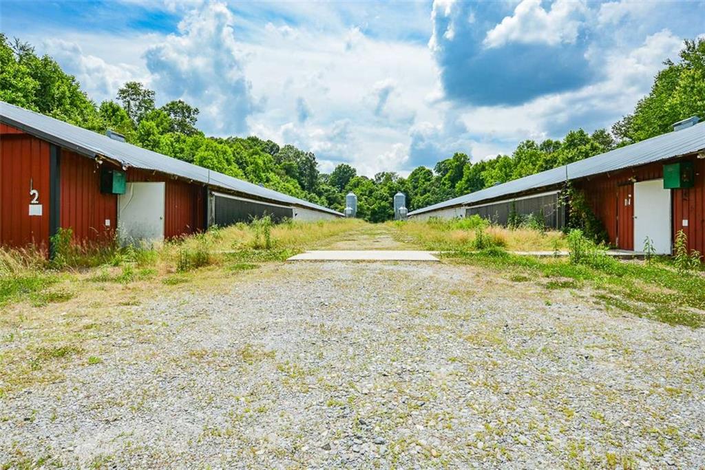1010 Painter Road Talking Rock, GA 30175 - Photo 21 of 25 a view of small yard