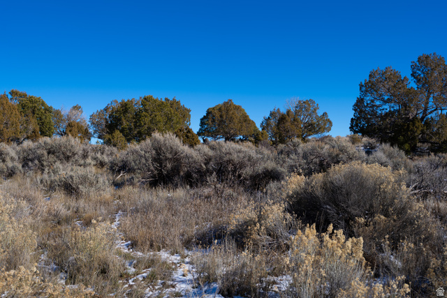 412 South Eastland Road Monticello, UT 84535 - Photo 13 of 14 View of undeveloped land