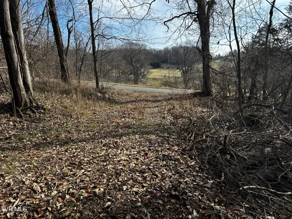 $38,000 | 198 Maple Tree Lane, Unit PT1, Watauga, TN 37694