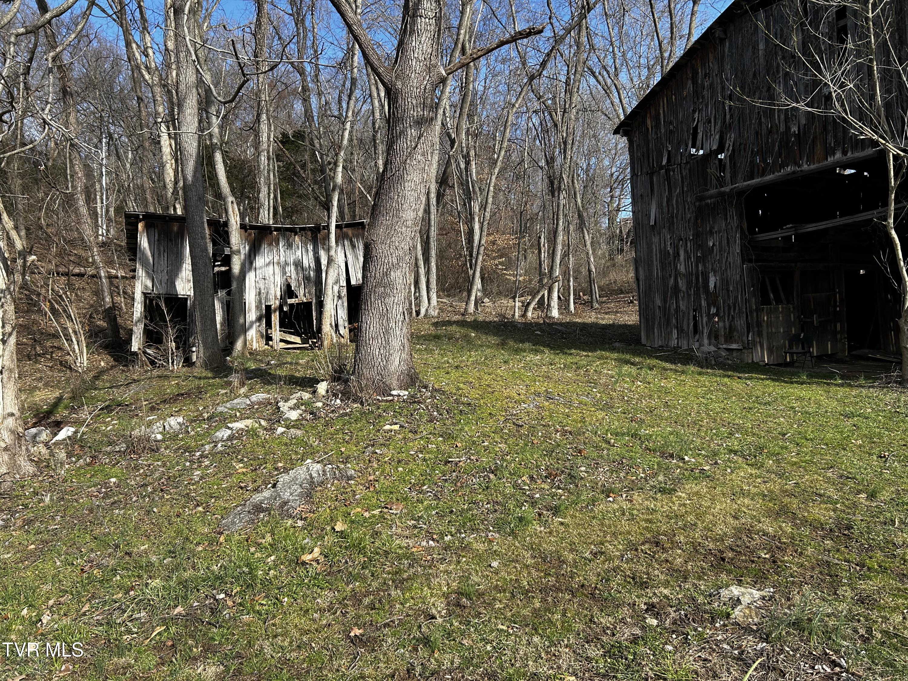 198 Maple Tree Lane, Unit PT1 Watauga, TN 37694 - Photo 12 of 17 IMG_6343