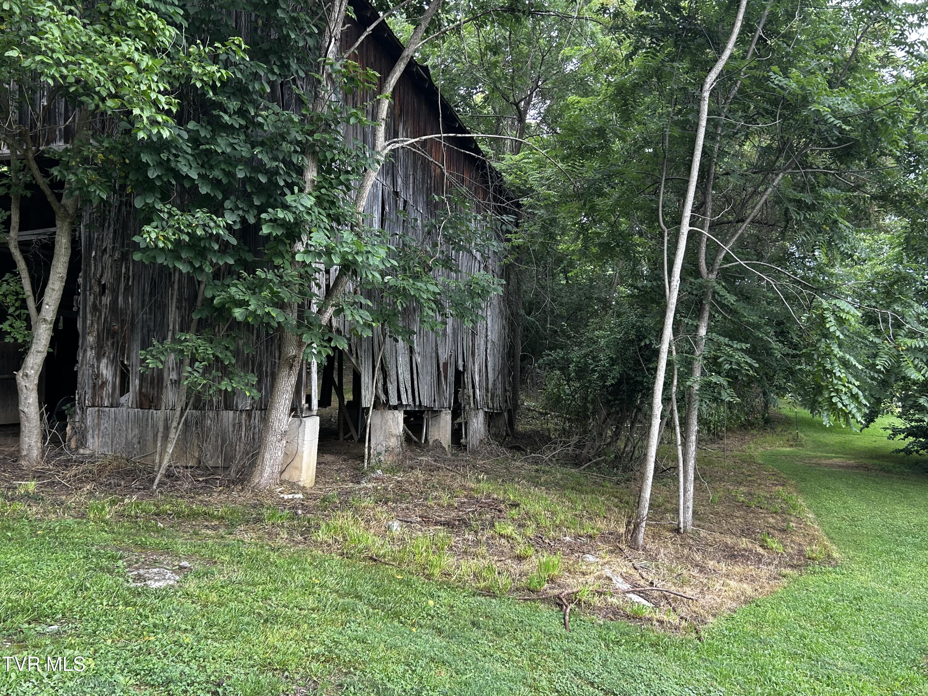 198 Maple Tree Lane, Unit PT1 Watauga, TN 37694 - Photo 14 of 17 IMG_6637