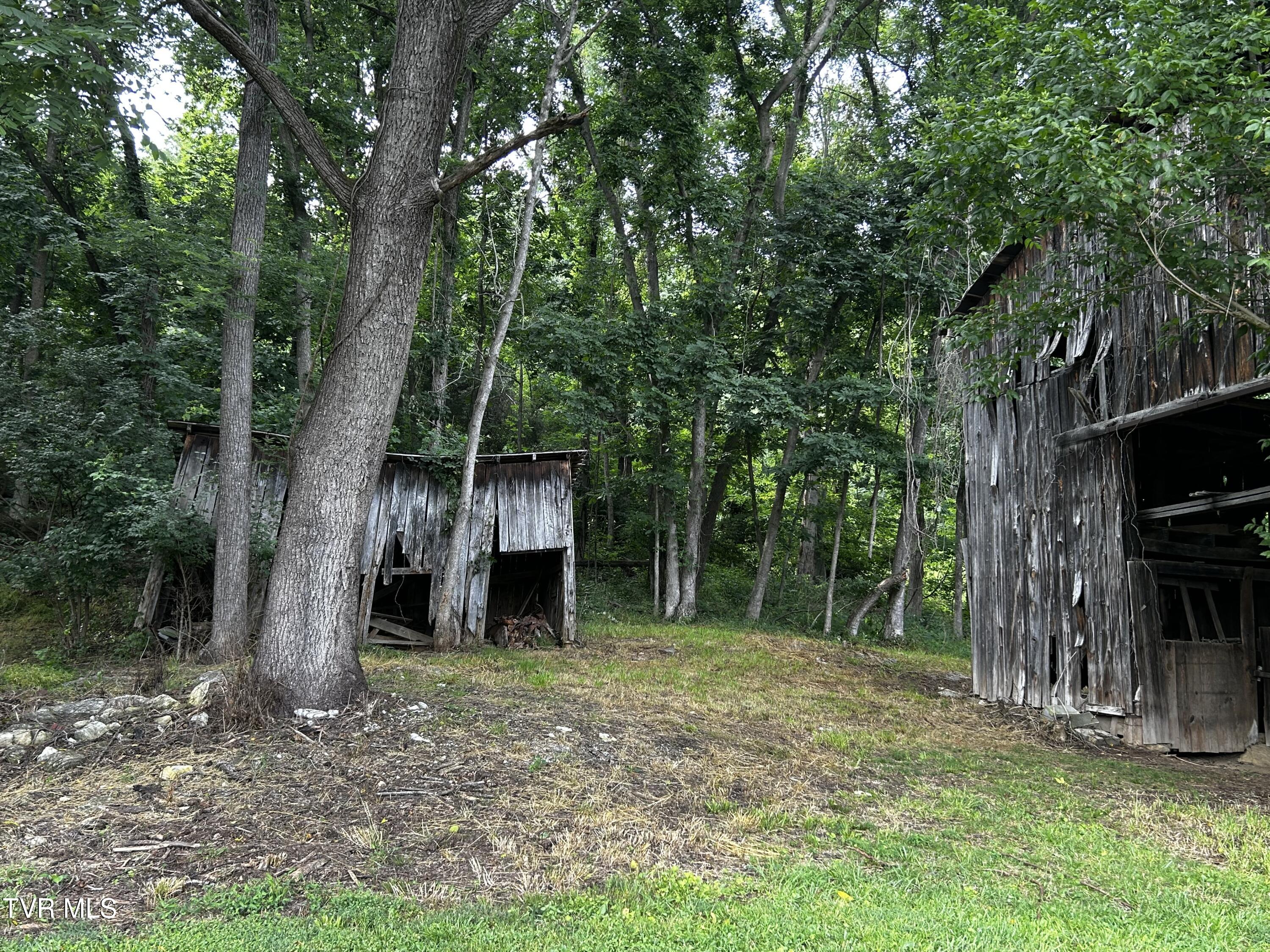 198 Maple Tree Lane, Unit PT1 Watauga, TN 37694 - Photo 15 of 17 IMG_6638