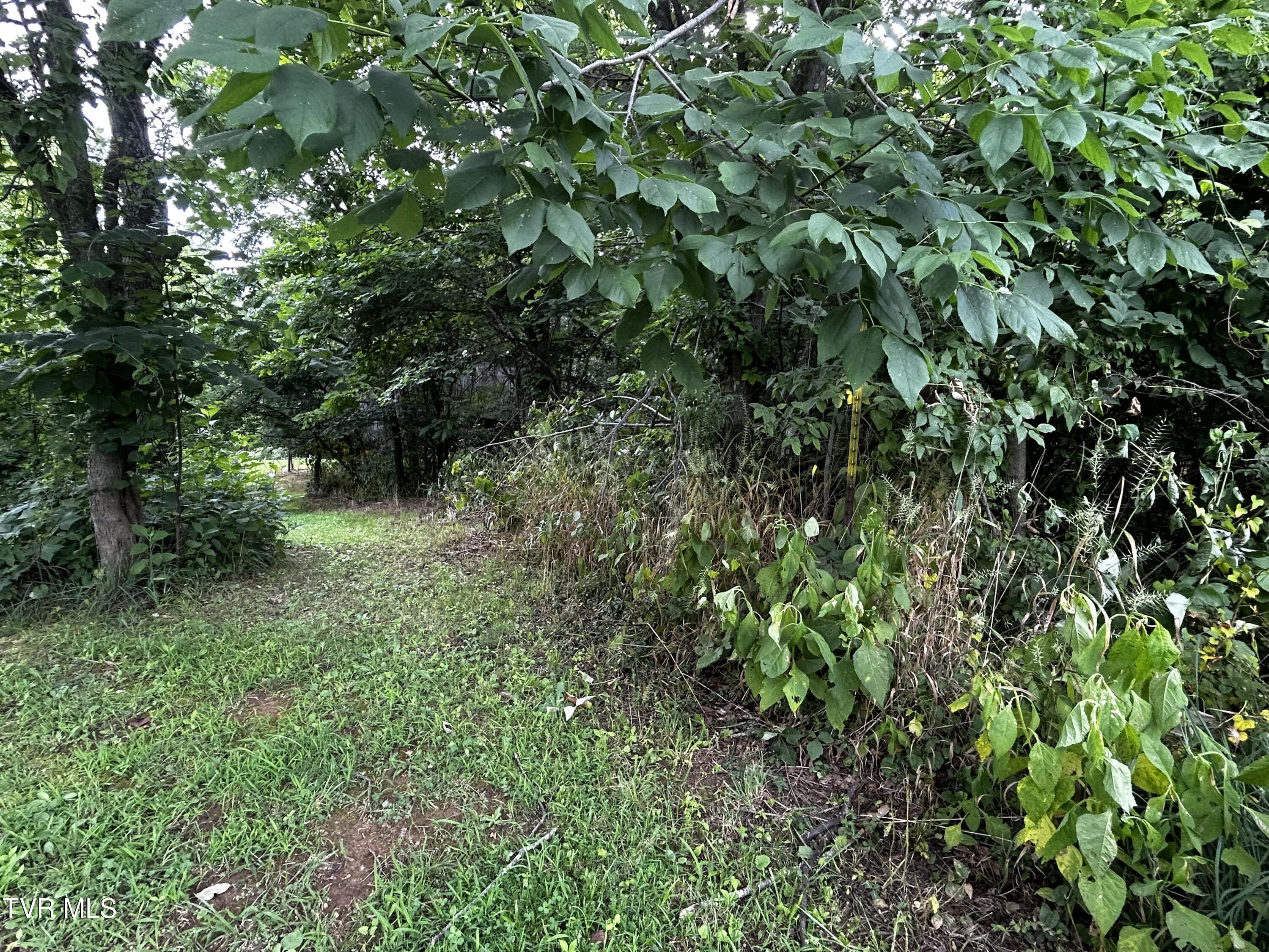 198 Maple Tree Lane, Unit PT1 Watauga, TN 37694 - Photo 17 of 17 IMG_6659