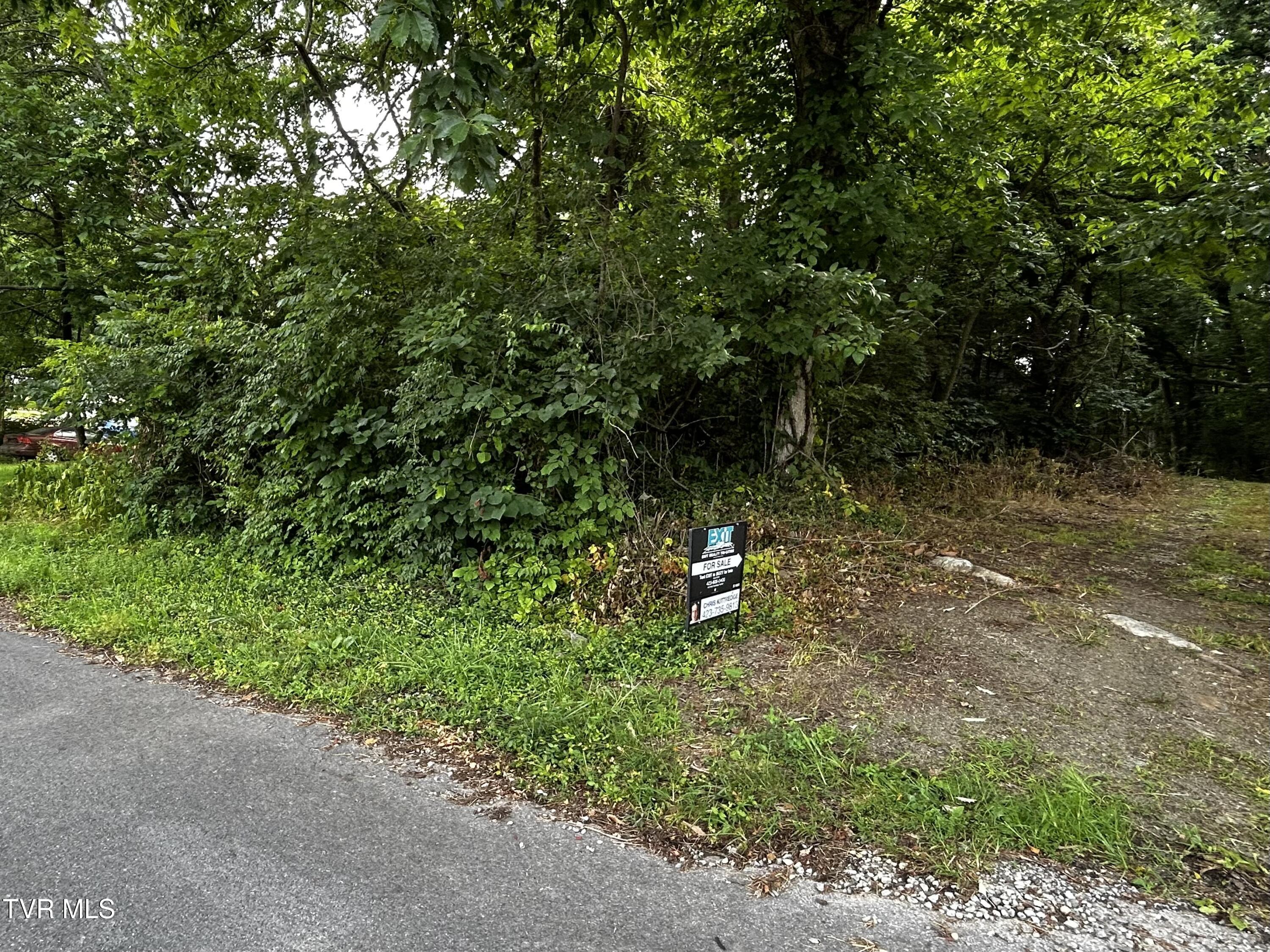 198 Maple Tree Lane, Unit PT1 Watauga, TN 37694 - Photo 2 of 17 IMG_6658