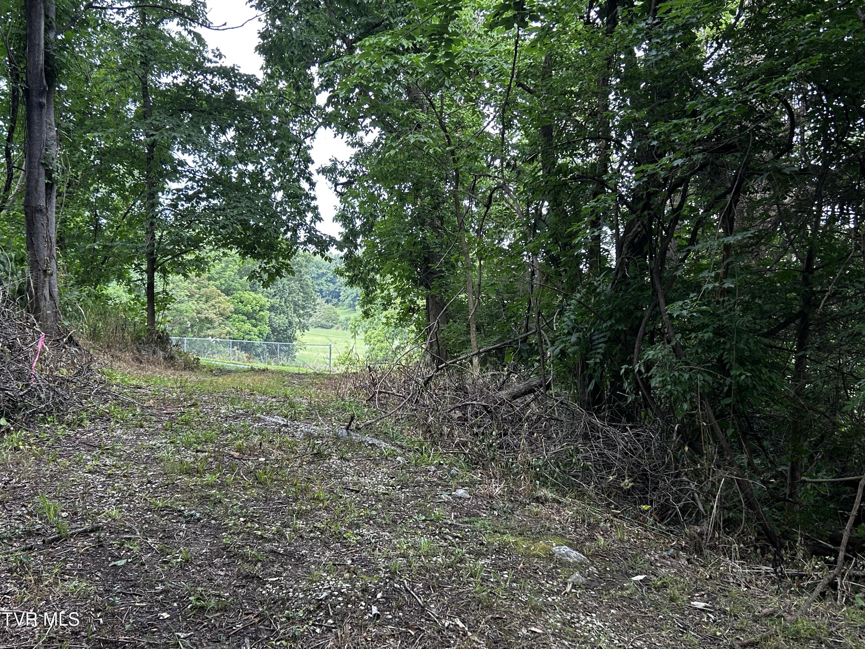 198 Maple Tree Lane, Unit PT1 Watauga, TN 37694 - Photo 3 of 17 IMG_6652