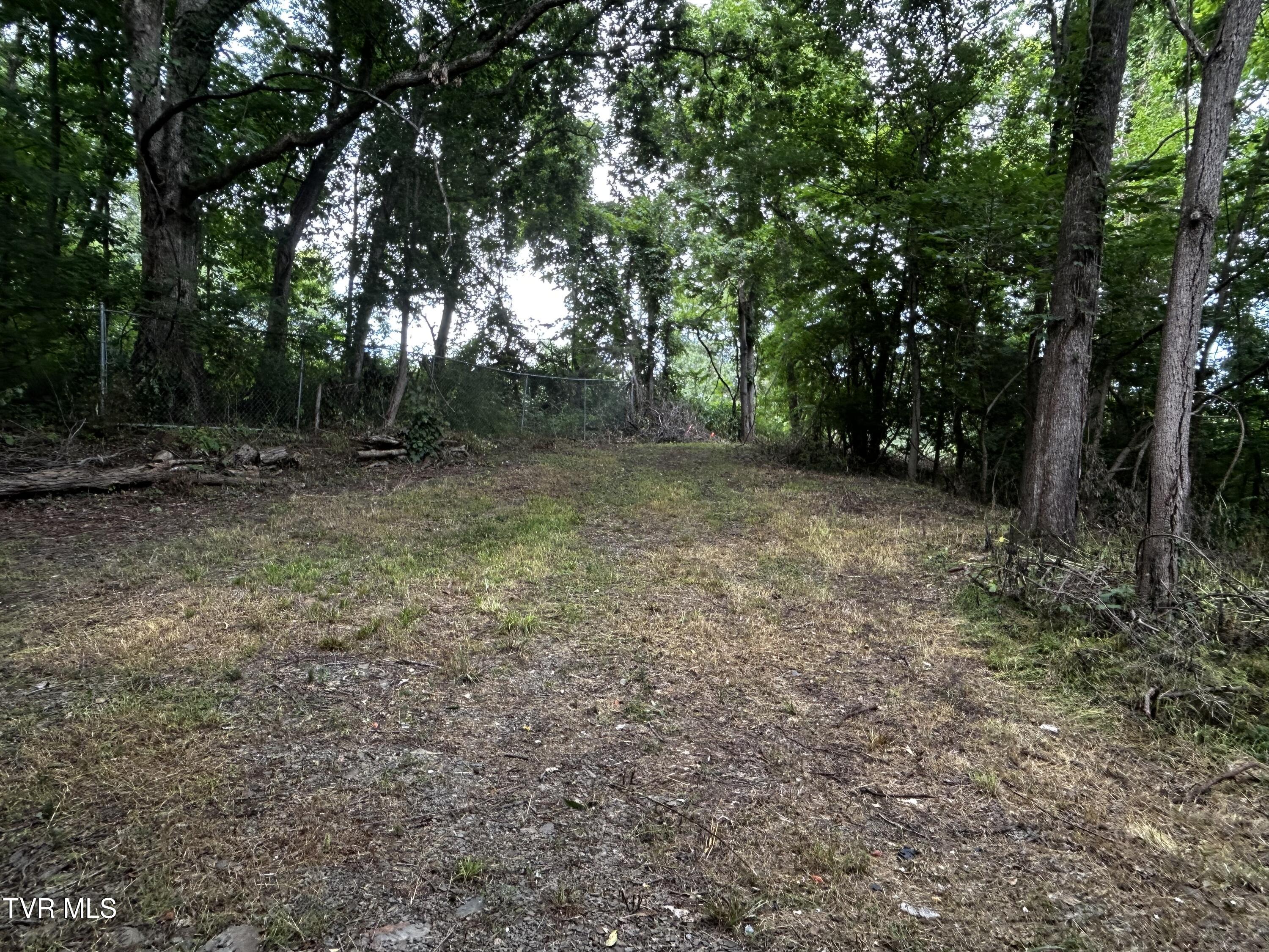 198 Maple Tree Lane, Unit PT1 Watauga, TN 37694 - Photo 4 of 17 IMG_6650