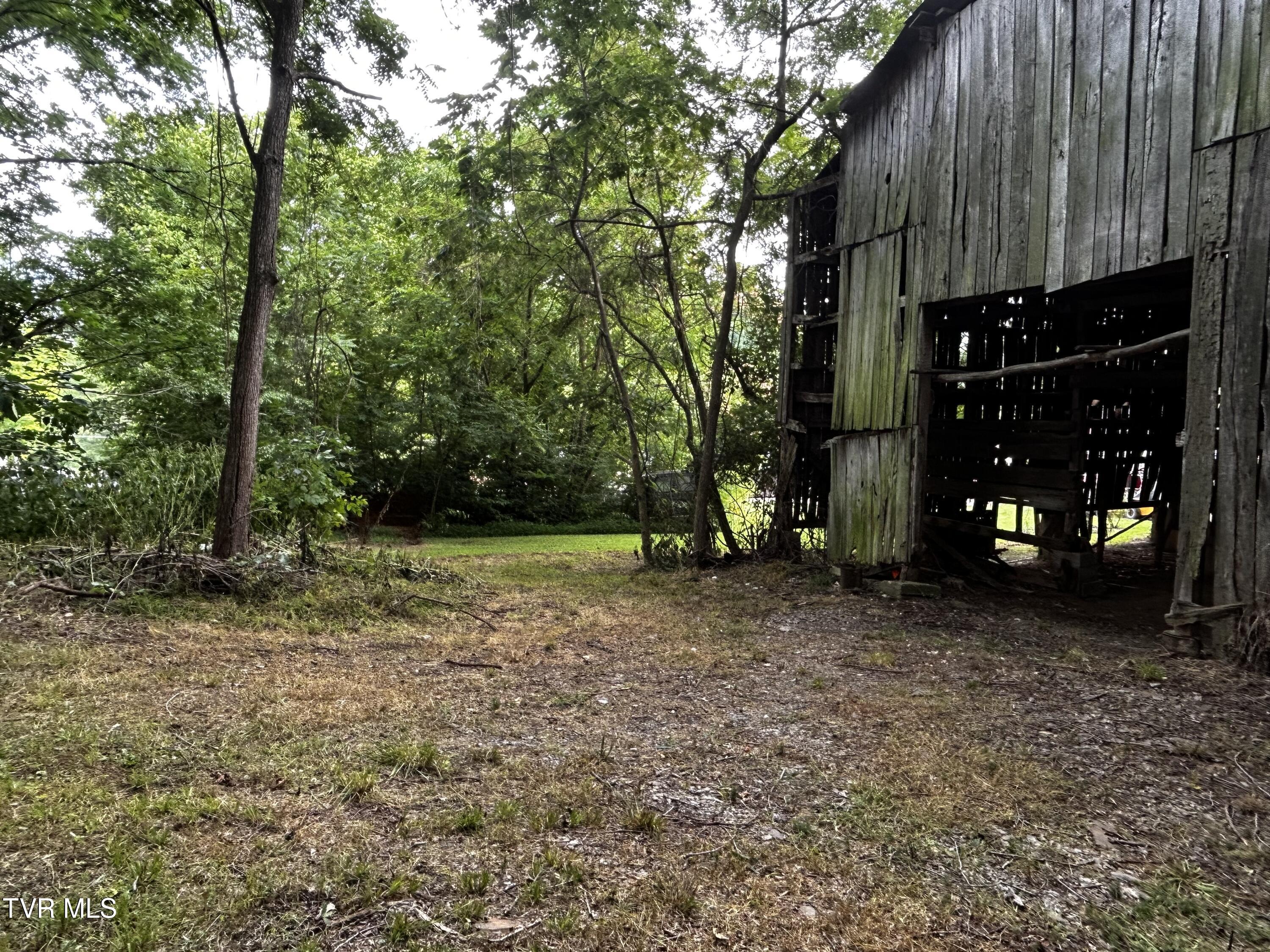 198 Maple Tree Lane, Unit PT1 Watauga, TN 37694 - Photo 5 of 17 IMG_6646