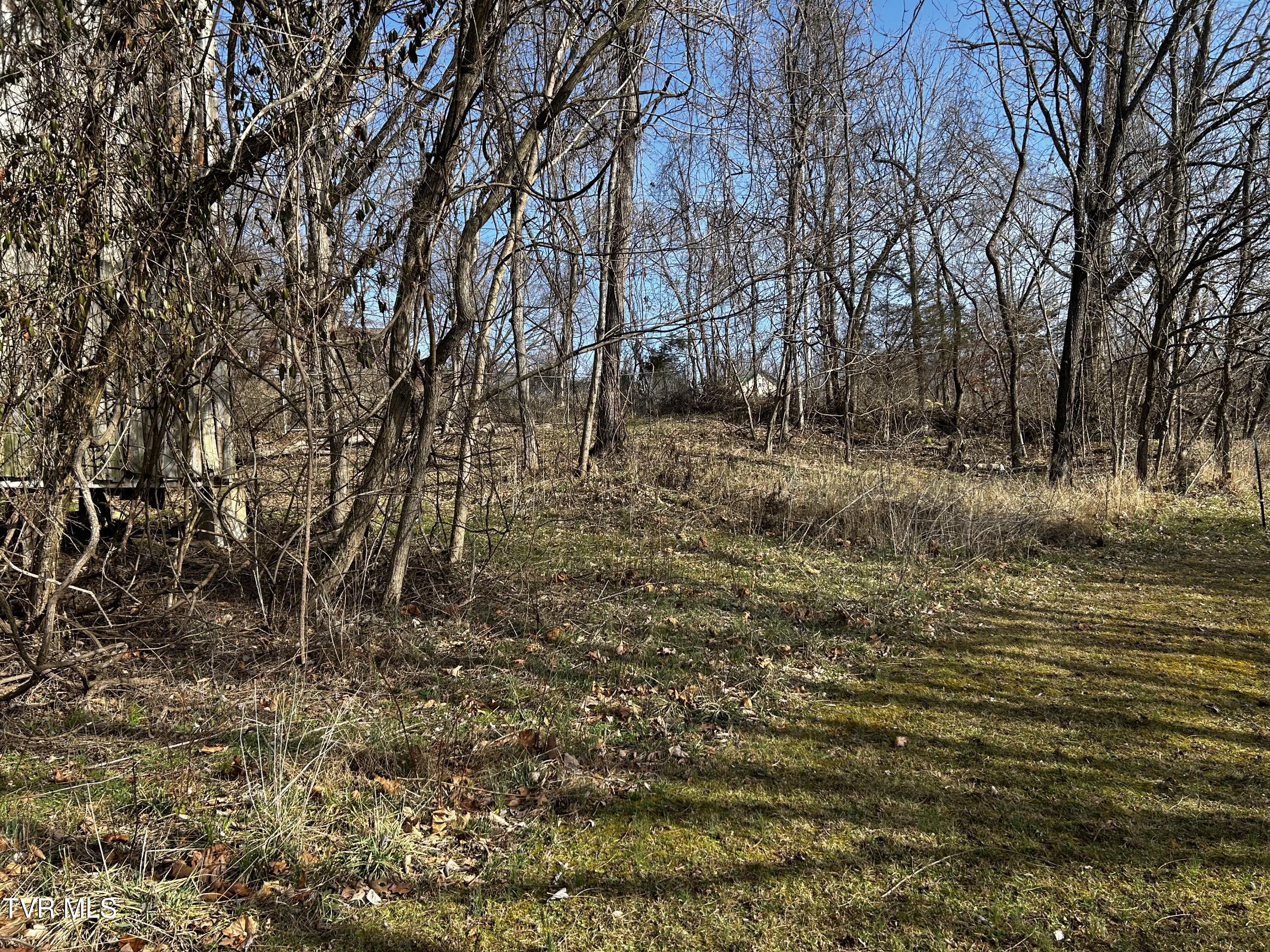 198 Maple Tree Lane, Unit PT1 Watauga, TN 37694 - Photo 8 of 17 IMG_6346