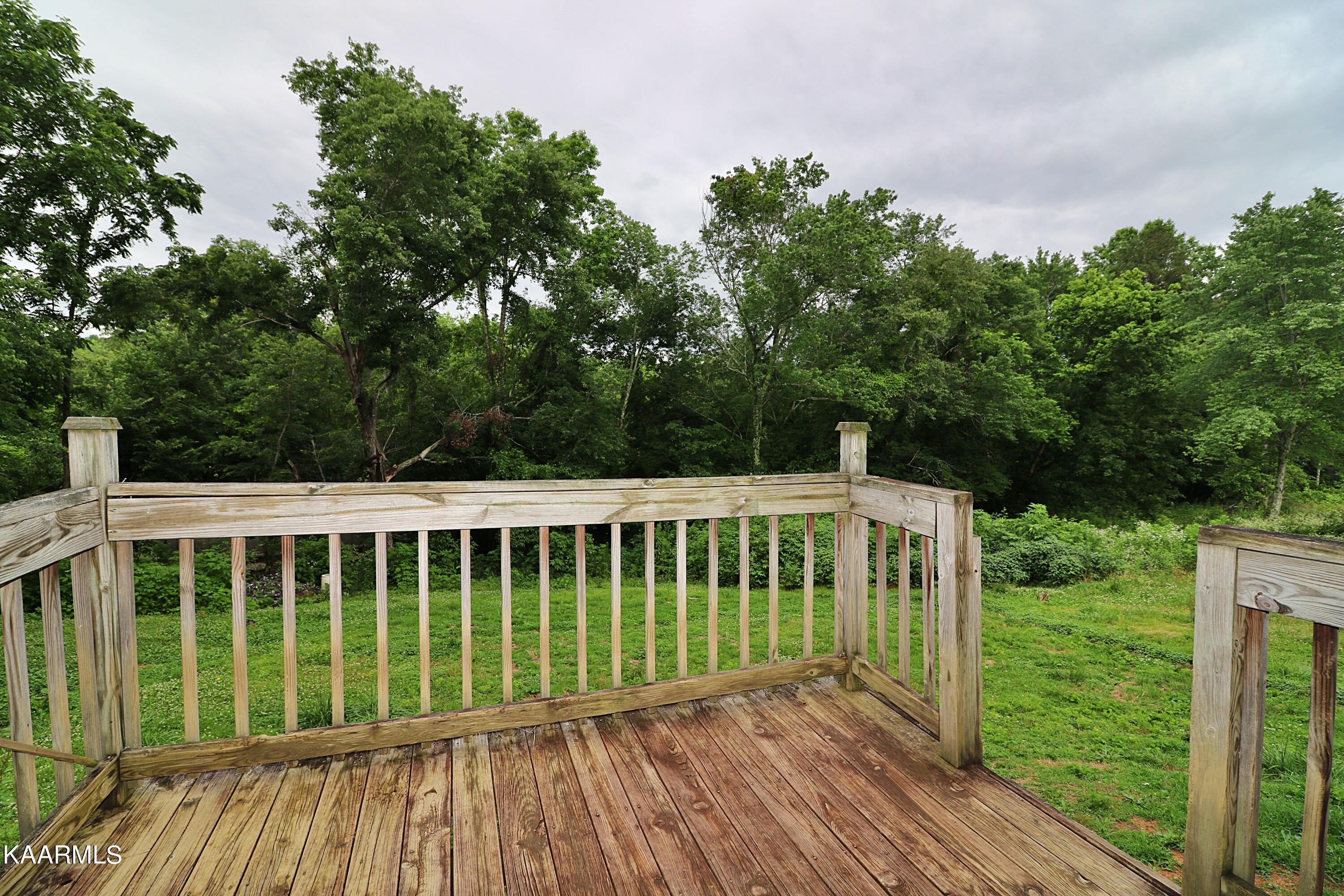 352 Simpson Road Helenwood, TN 37755 - Photo 21 of 32 094A3613