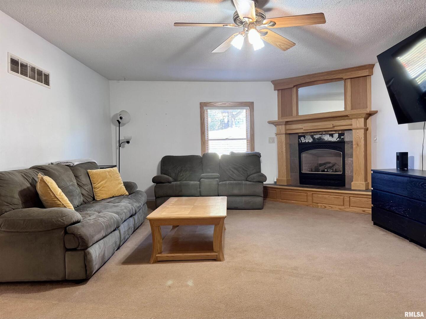 2711 North 2nd Street Clinton, IA 52732 - Photo 8 of 24 a living room with furniture a fireplace and a flat screen tv