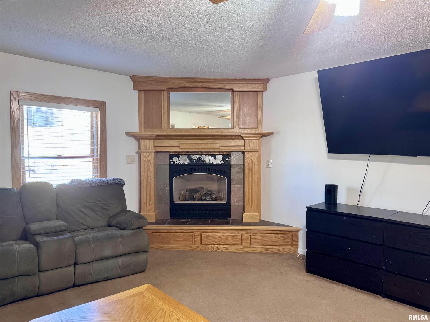2711 North 2nd Street Clinton, IA 52732 - Photo 10 of 24 a living room with furniture and a fireplace