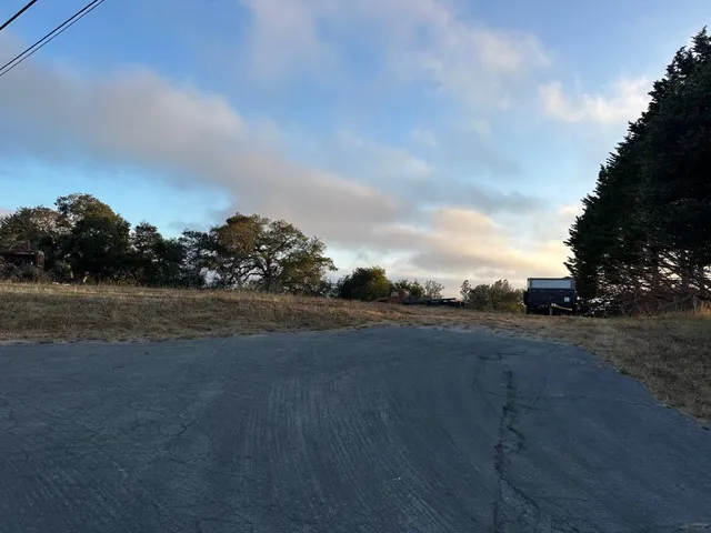 a view of empty field with trees