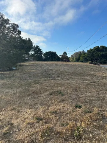 a view of a yard with trees