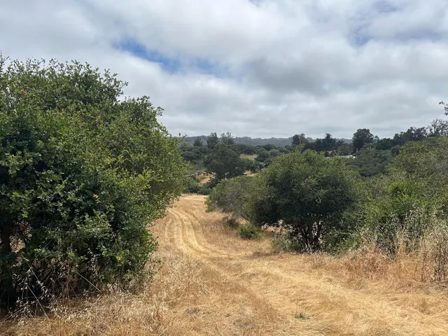 a view of a snow covered with snow