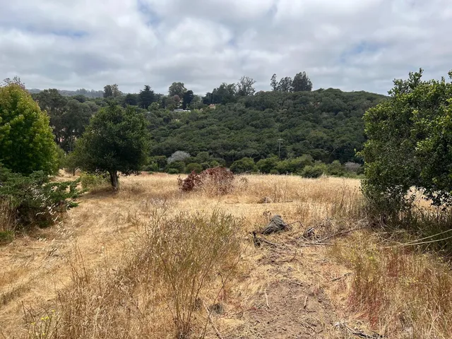 a view of water covered with snow in the background