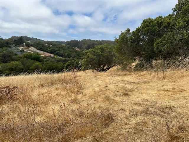 a view of a dry yard with mountains in the background