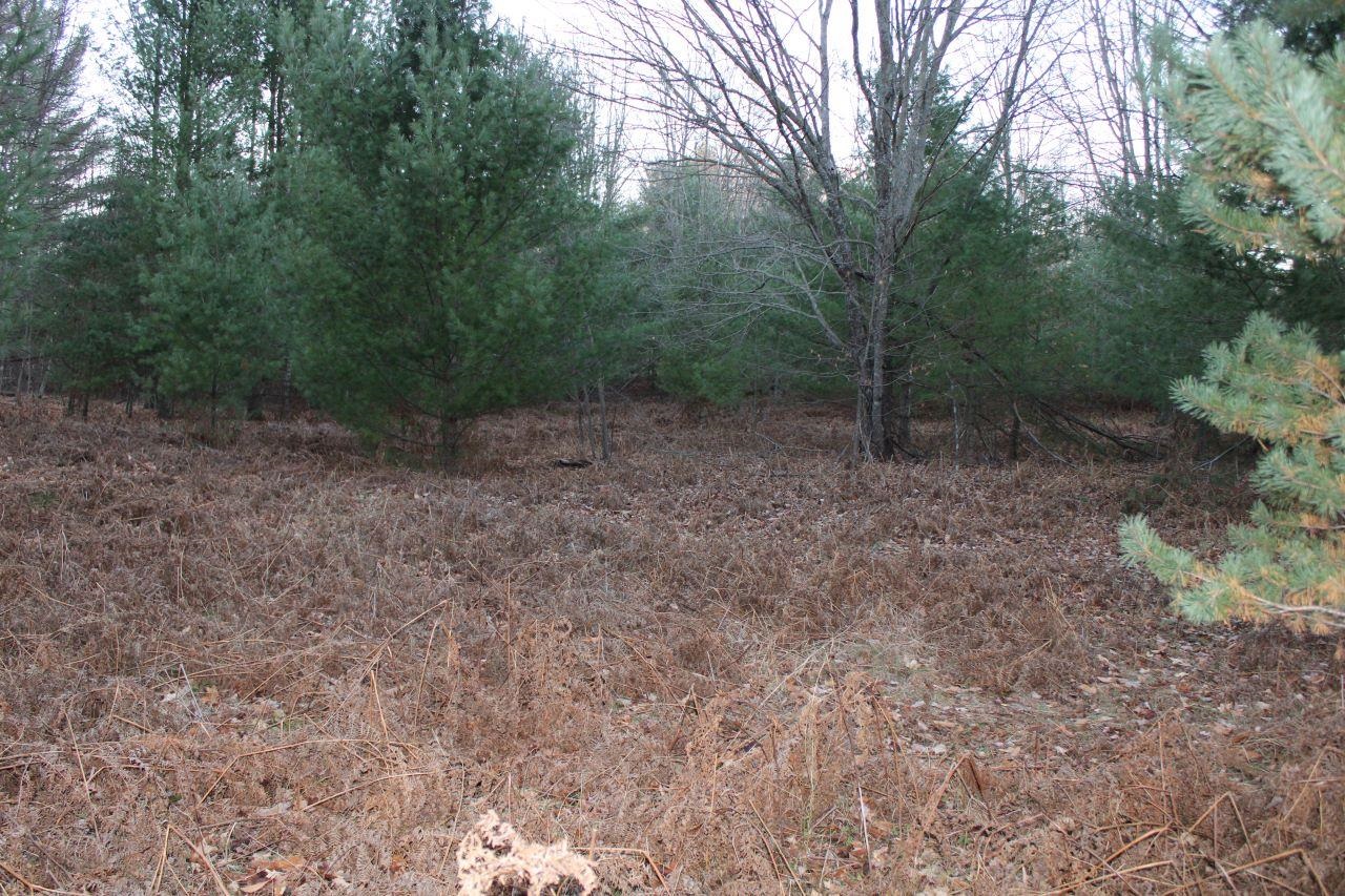 9396 Southwest Raspberry Ridge, Unit LOT: 7 Fife Lake, MI 49633 - Photo 84 of 86
