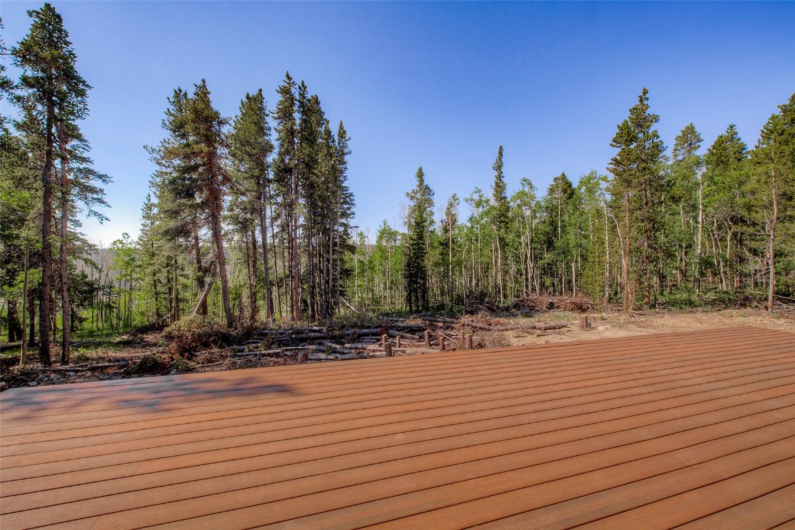 472 Vots Drive Fairplay, CO 80440 - Photo 13 of 40 a view of a yard with trees