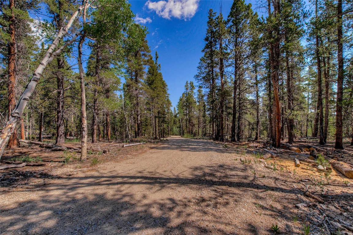 472 Vots Drive Fairplay, CO 80440 - Photo 31 of 40 a view of dirt yard with a large tree