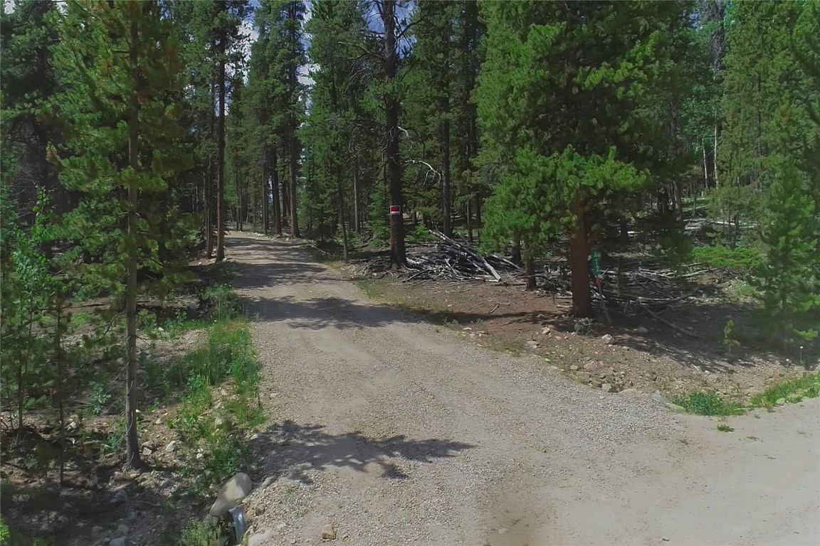 472 Vots Drive Fairplay, CO 80440 - Photo 32 of 40 a view of a dirt road with trees in the background