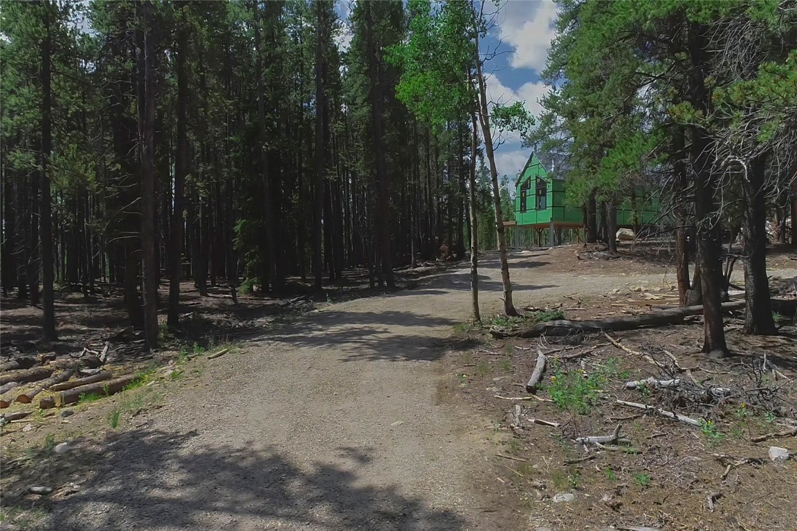 472 Vots Drive Fairplay, CO 80440 - Photo 33 of 40 a view of a park