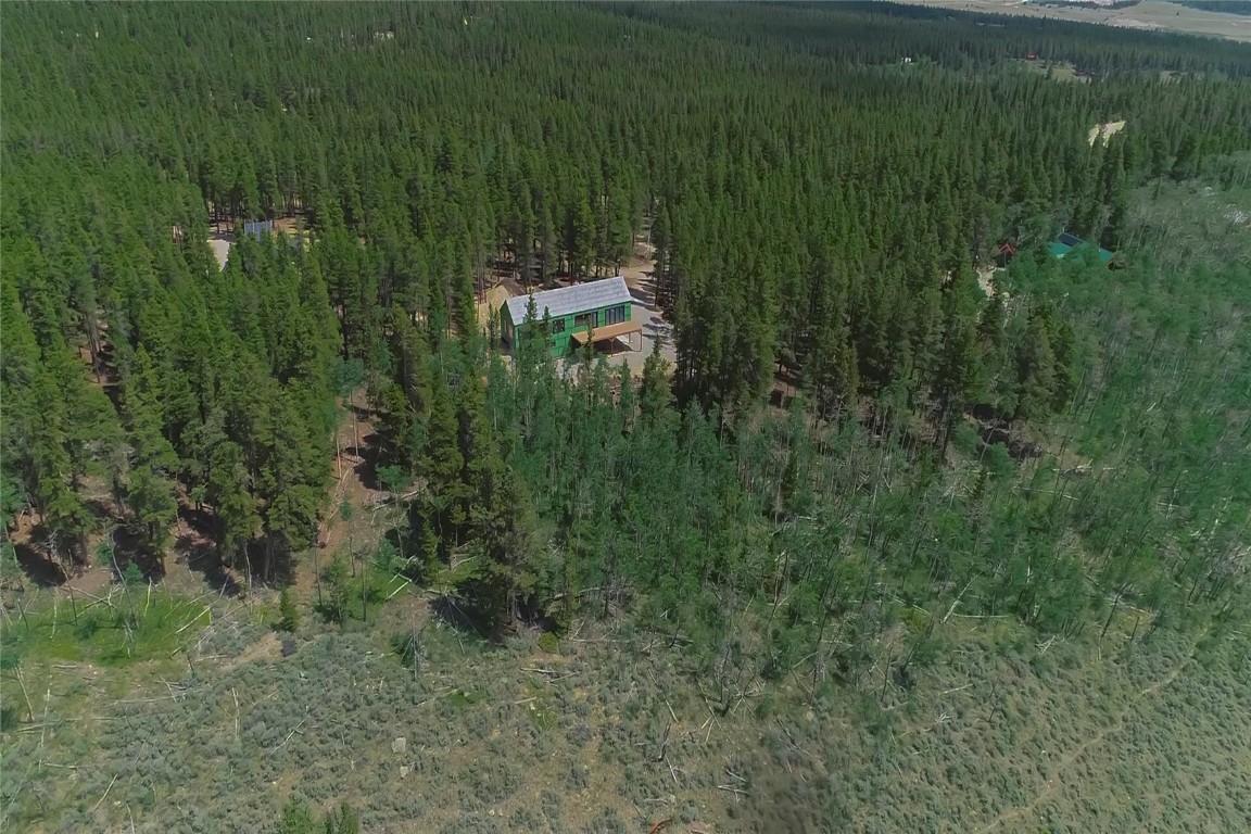 472 Vots Drive Fairplay, CO 80440 - Photo 35 of 40 a view of a lush green forest with lots of trees